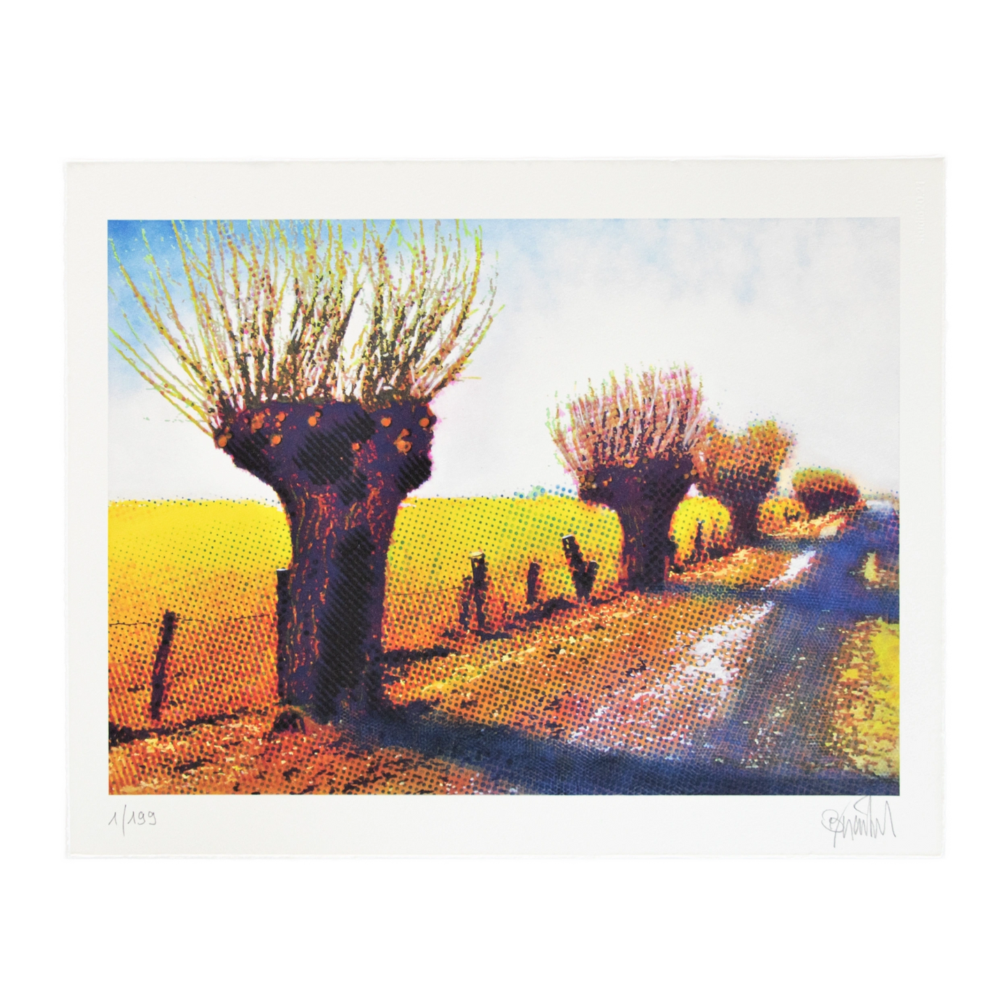 Niederrhein Landschaft – Thomas Baumgärtel, 2026