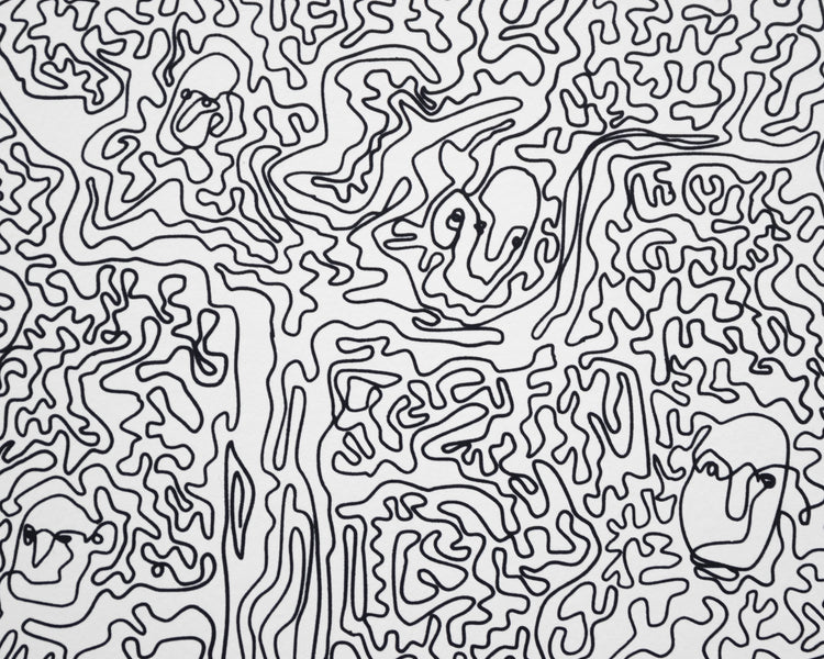 Forest - Paula Wessel