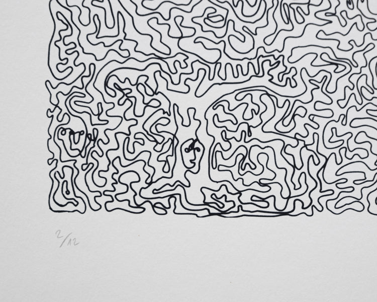 Forest - Paula Wessel