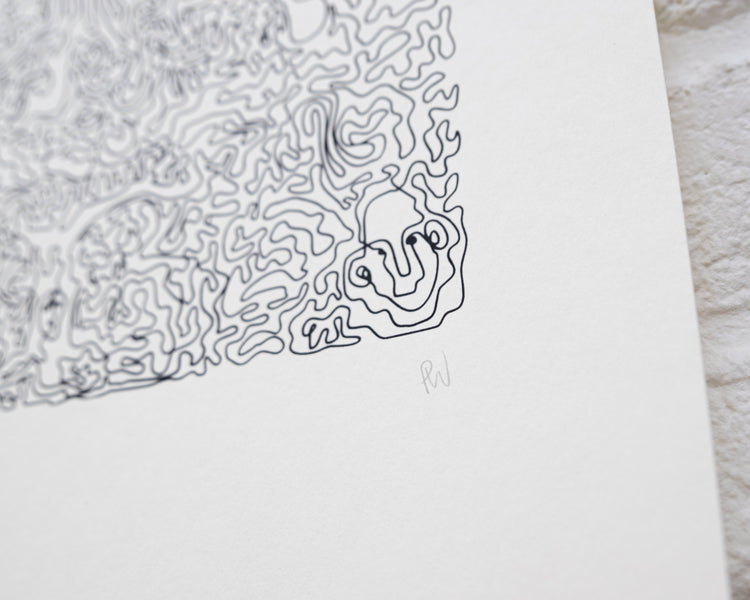 Forest - Paula Wessel