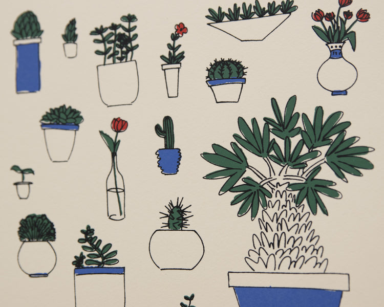 Houseplants - Paula Wessel