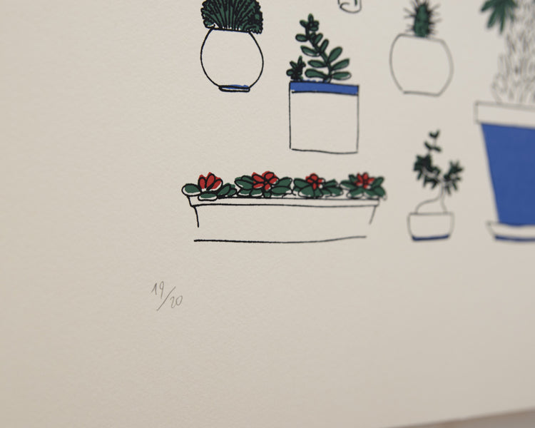 Houseplants - Paula Wessel