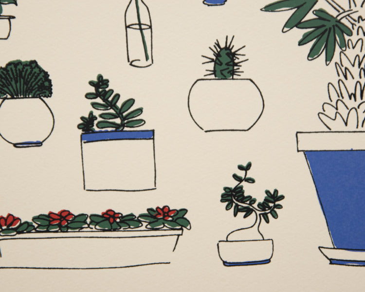 Houseplants - Paula Wessel