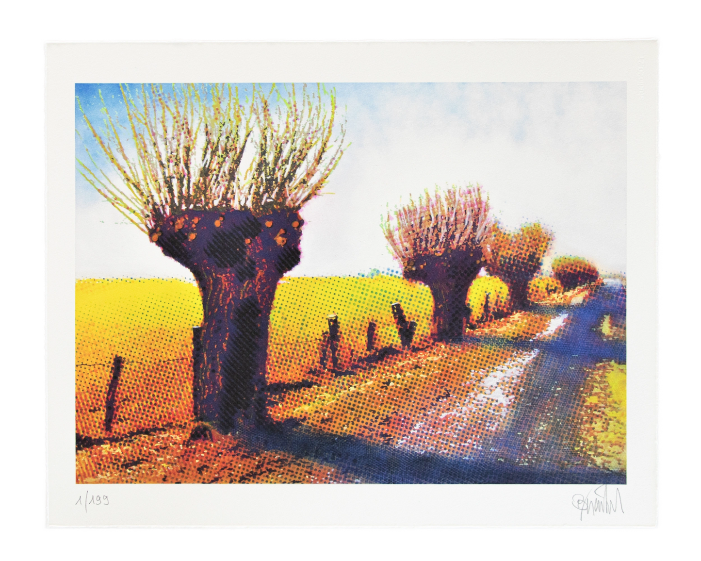 Niederrhein Landschaft – Thomas Baumgärtel