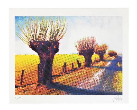 Niederrhein Landschaft – Thomas Baumgärtel