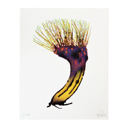 Niederrheinbanane – Thomas Baumgärtel, 2026