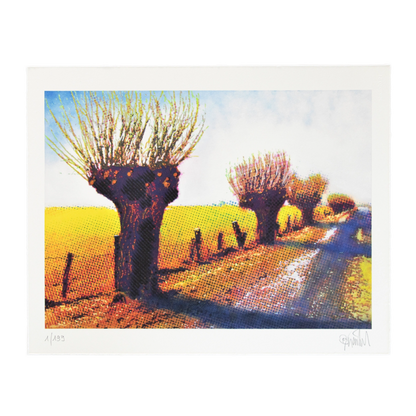 Niederrhein Landschaft – Thomas Baumgärtel, 2026