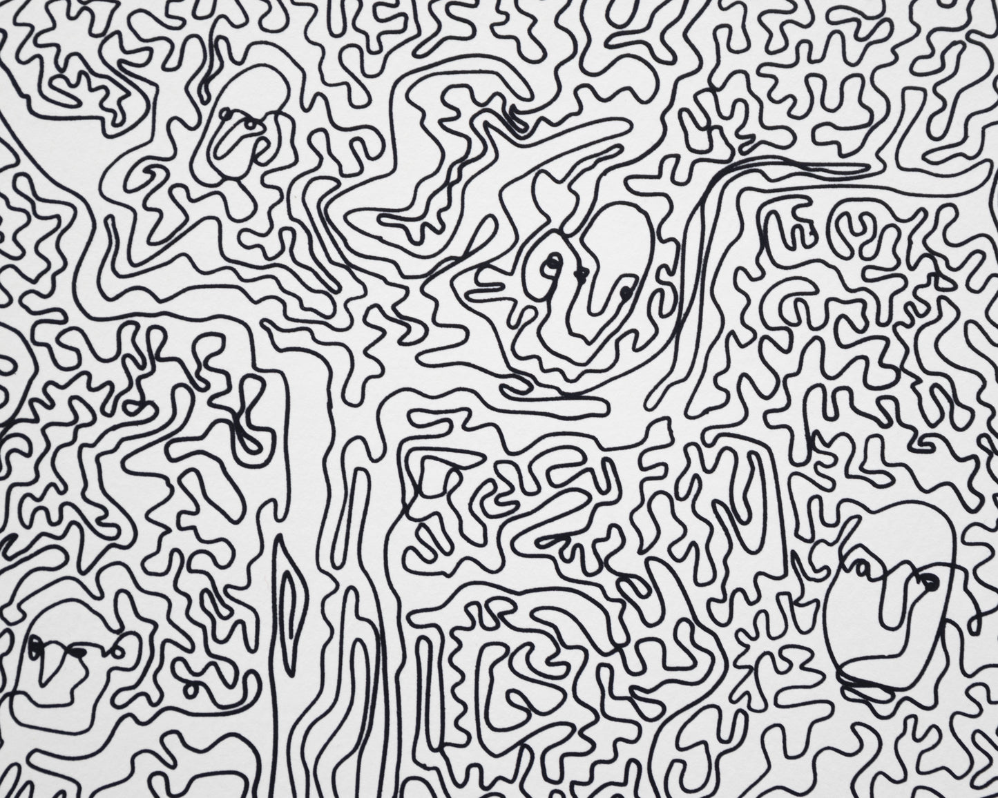 Forest - Paula Wessel