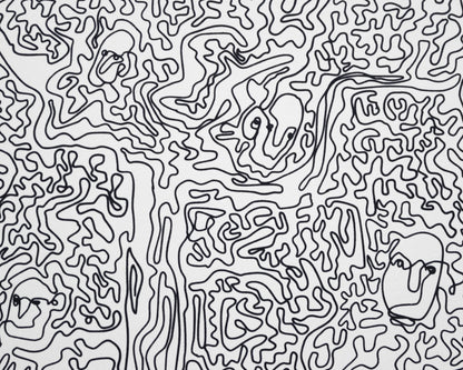 Forest - Paula Wessel