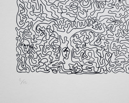 Forest - Paula Wessel