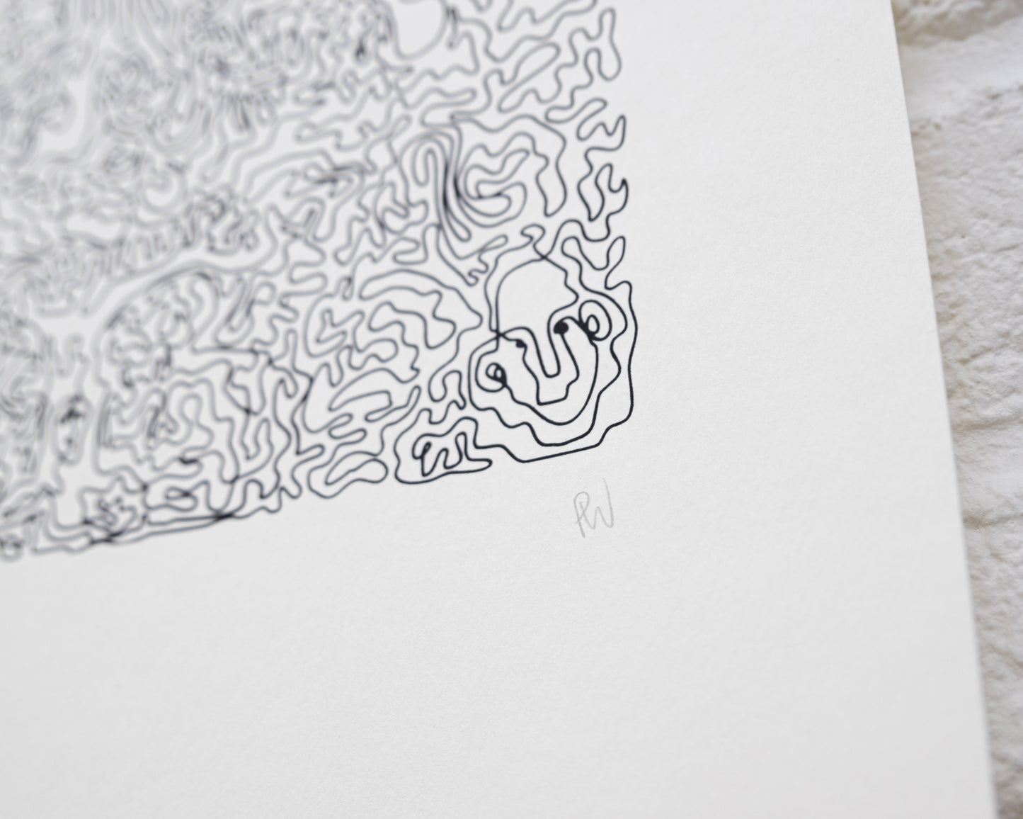 Forest - Paula Wessel