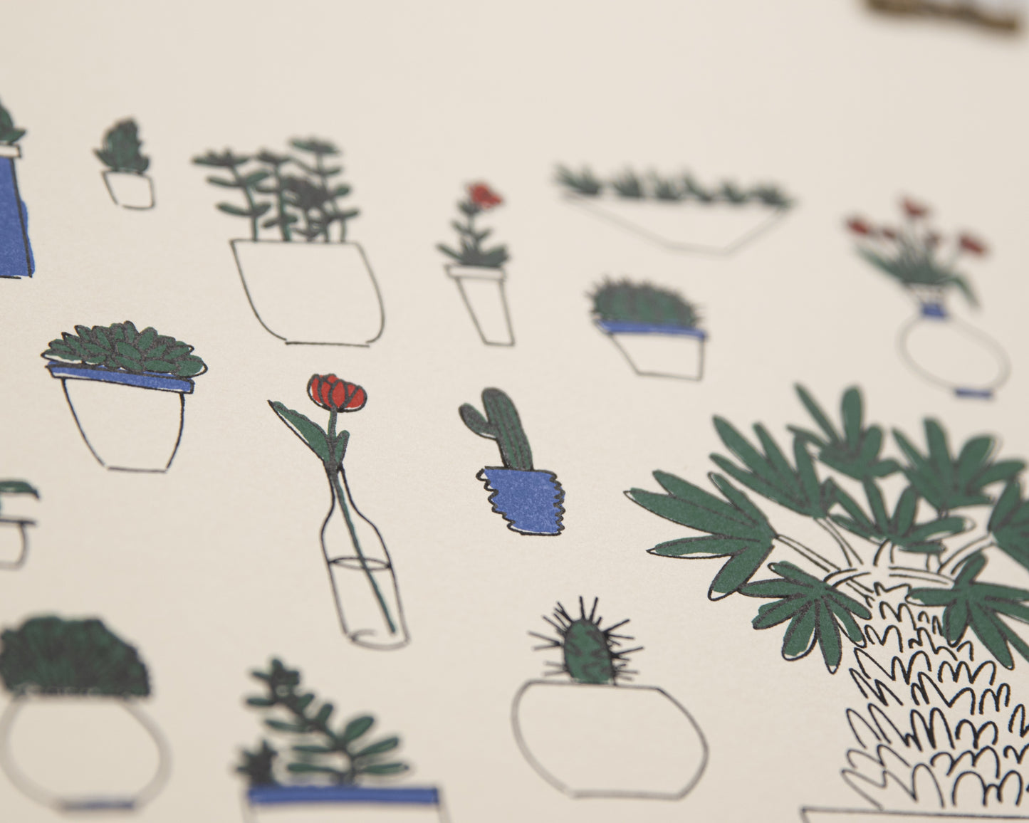 Houseplants - Paula Wessel
